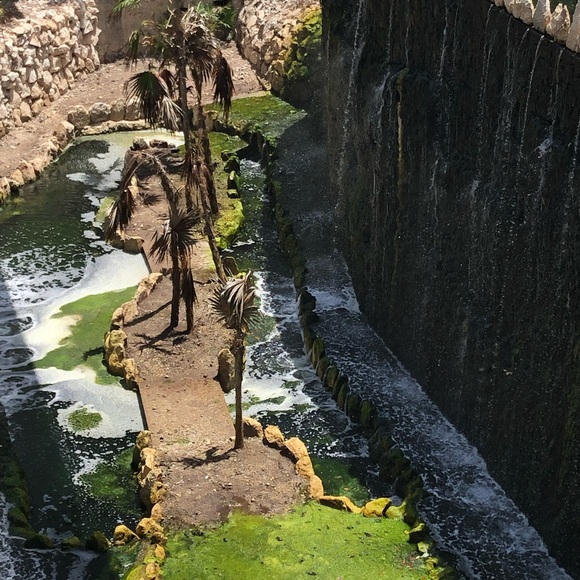 Meet your Posher, Ashley - Picture 15 of 16